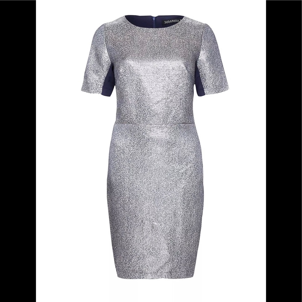 Sugar Hill Boutique Betsy Shift Dress - Silver